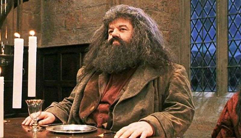 Entenda doença que estaria fazendo ator que viveu Hagrid usar cadeira de rodas 