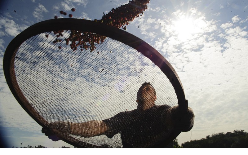 home page post