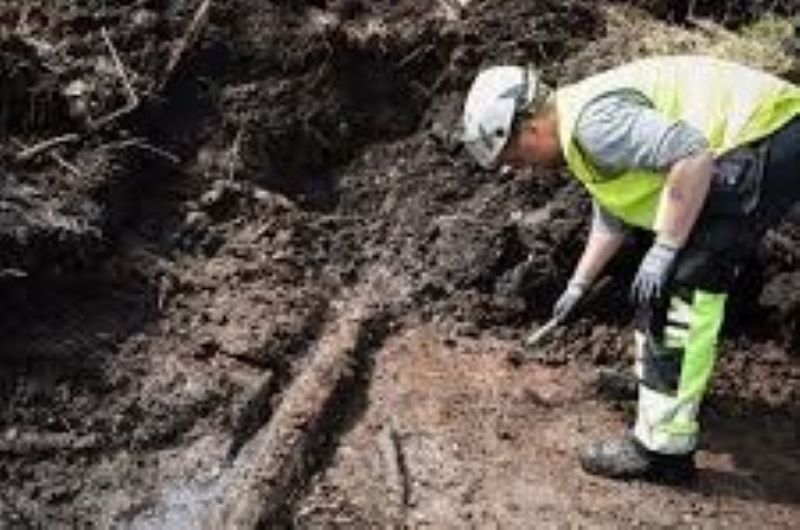 ‘Cápsula do tempo pré-histórica’ de 5 mil anos é descoberta em pântano 