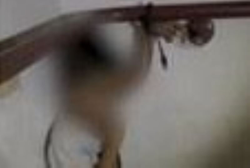 home page post