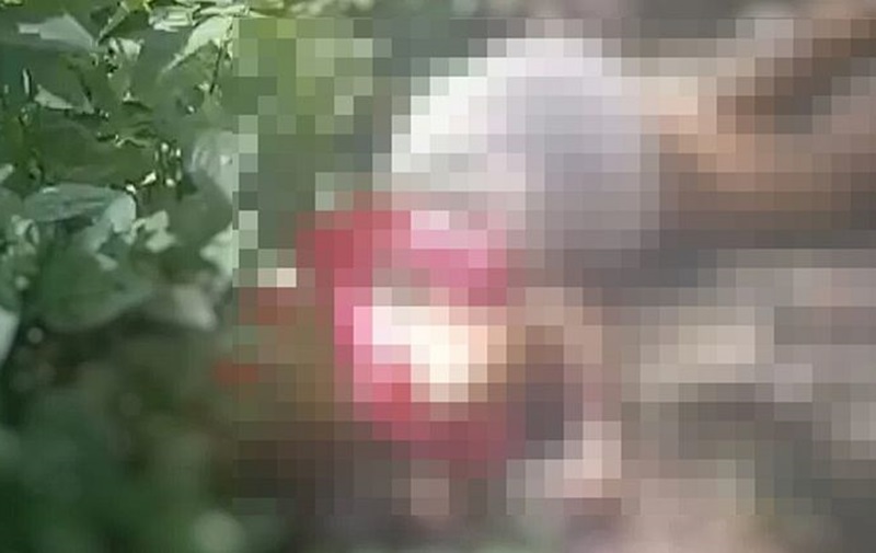 Corpo de mulher é encontrado com marcas de tiros em área de mata, em Maceió